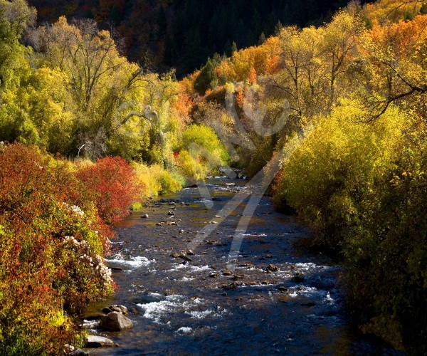 UTAH Autumn River